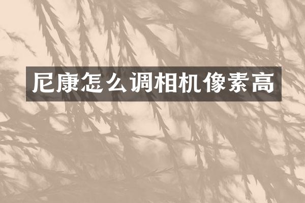 尼康怎么调相机像素高