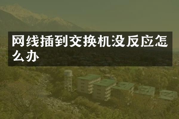网线插到交换机没反应怎么办