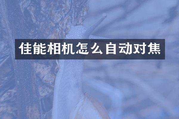 佳能相机怎么自动对焦