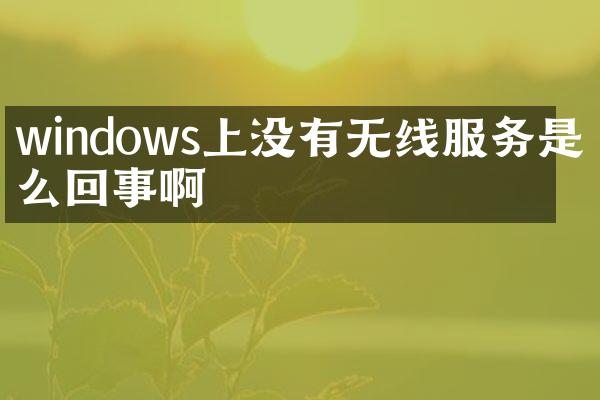 windows上没有无线服务是怎么回事啊