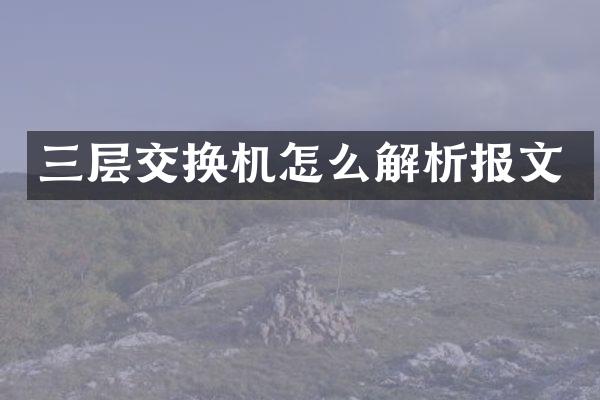 三层交换机怎么解析报文