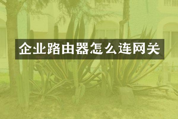 企业路由器怎么连网关