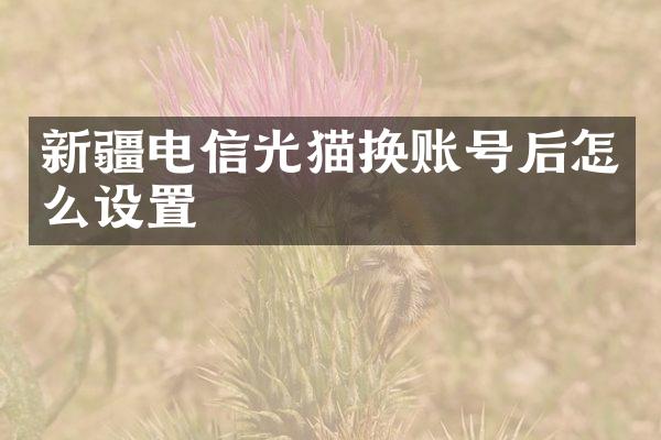 新疆电信光猫换账号后怎么设置
