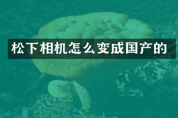 相机怎么变成国产的