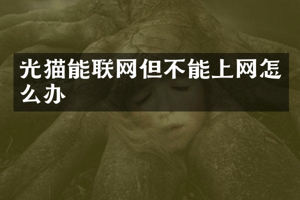 光猫能联网但不能上网怎么办