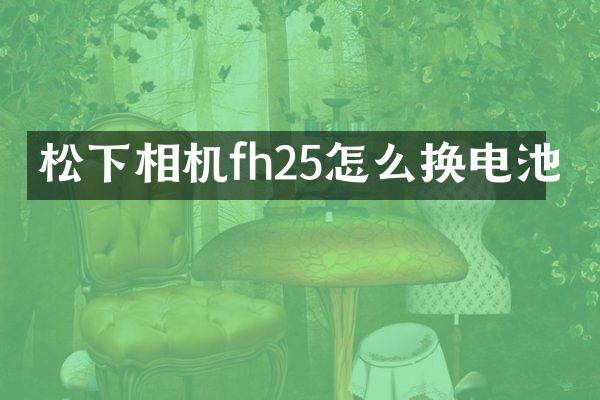 相机fh25怎么换电池