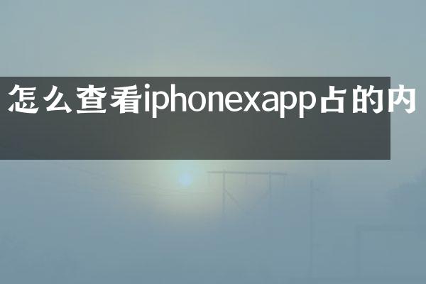 怎么查看iphonexapp占的内存