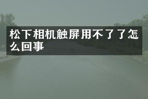 相机触屏用不了了怎么回事