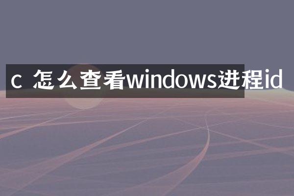 c 怎么查看windows进程id