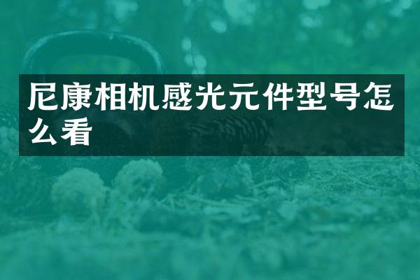 尼康相机感光元件型号怎么看