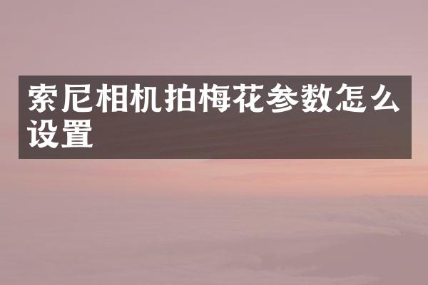 相机拍梅花参数怎么设置