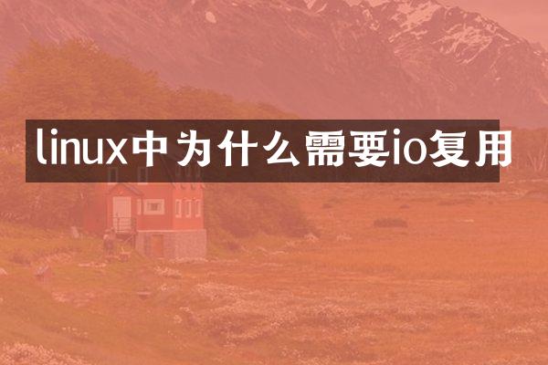linux中为什么需要io复用