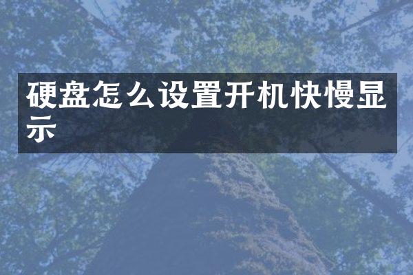 硬盘怎么设置开机快慢显示