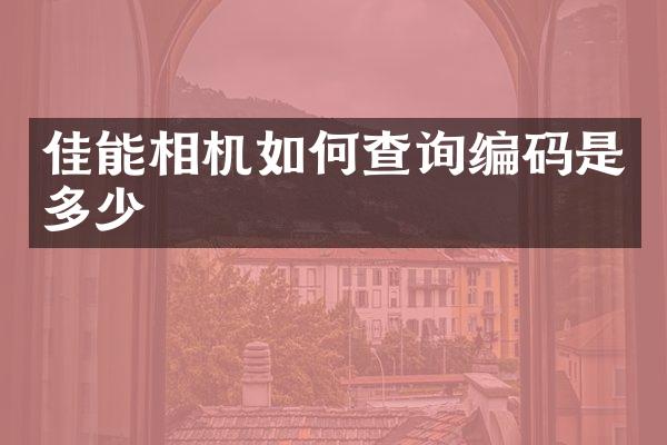 佳能相机如何查询编码是多少