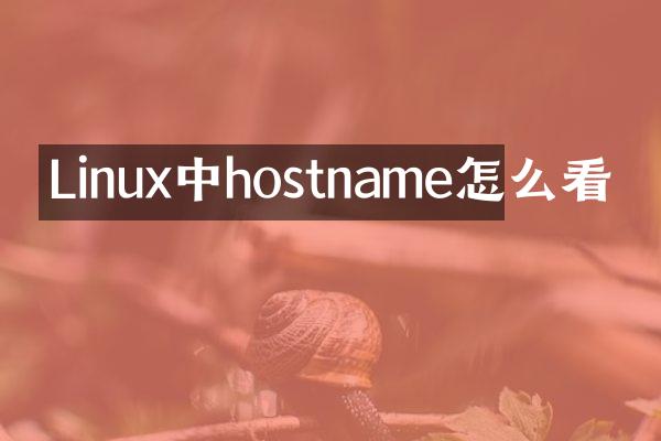 Linux中hostname怎么看