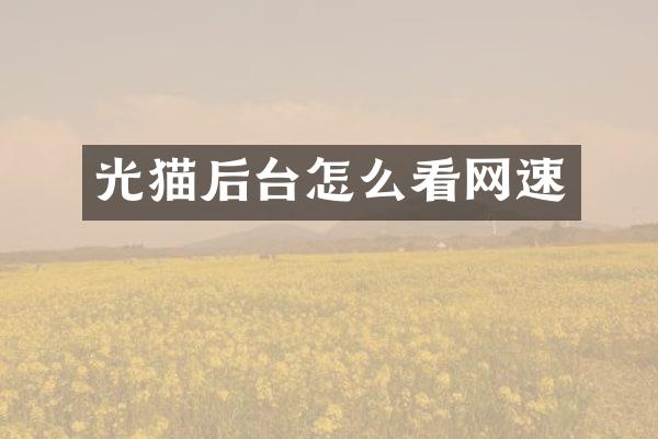 光猫后台怎么看网速