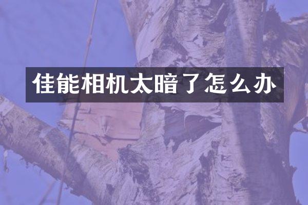 佳能相机太暗了怎么办