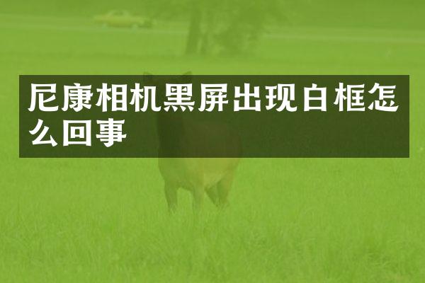 尼康相机黑屏出现白框怎么回事
