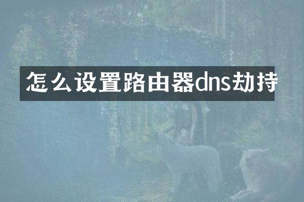 怎么设置路由器dns劫持