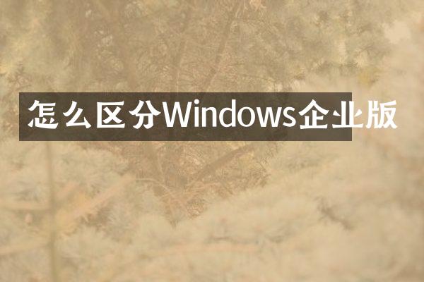怎么区分Windows企业版