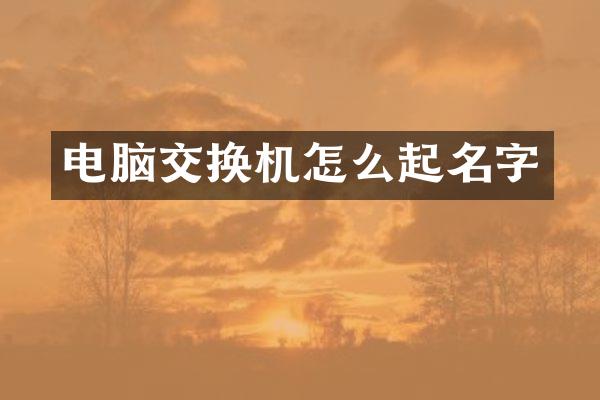 电脑交换机怎么起名字