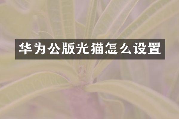 华为公版光猫怎么设置