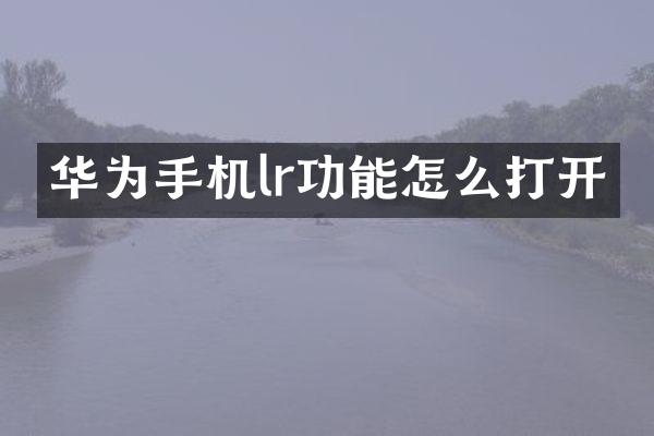 华为手机lr功能怎么打开
