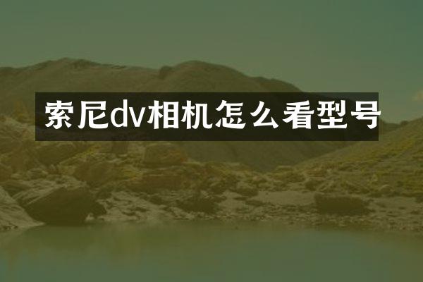 dv相机怎么看型号