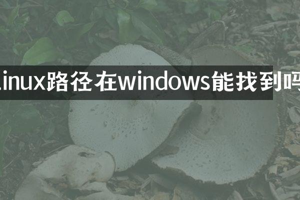 linux路径在windows能找到吗