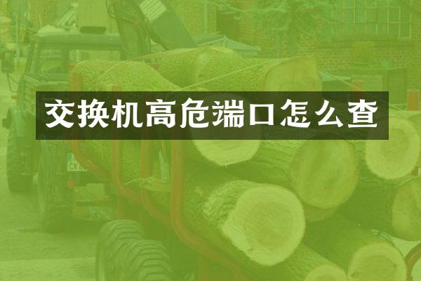 交换机高危端口怎么查