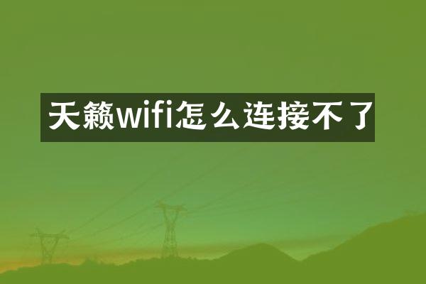 天籁wifi怎么连接不了