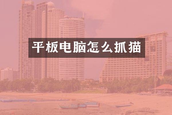 平板电脑怎么抓猫