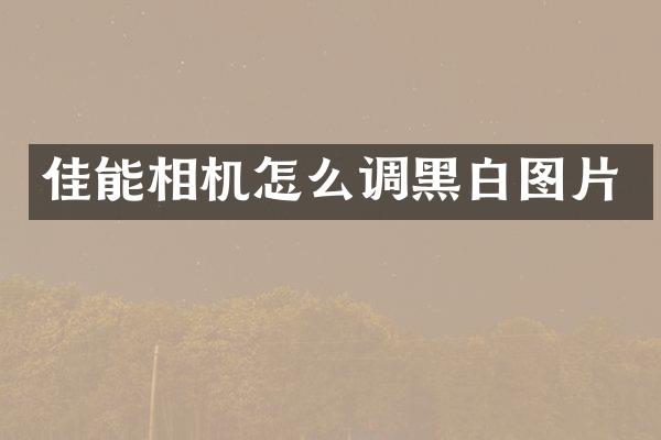 佳能相机怎么调黑白图片