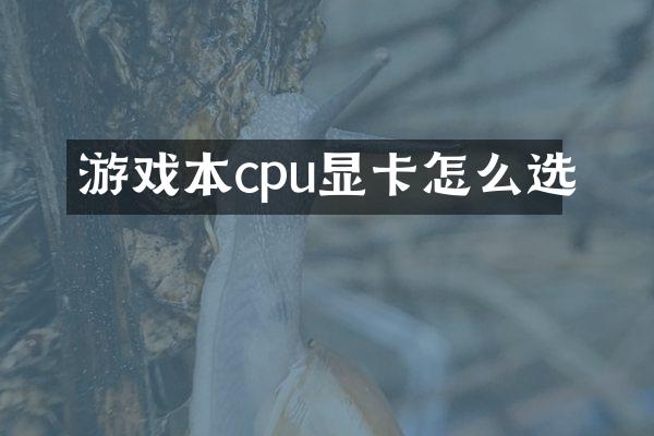 游戏本cpu显卡怎么选