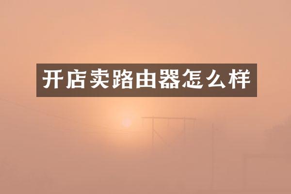 开店卖路由器怎么样