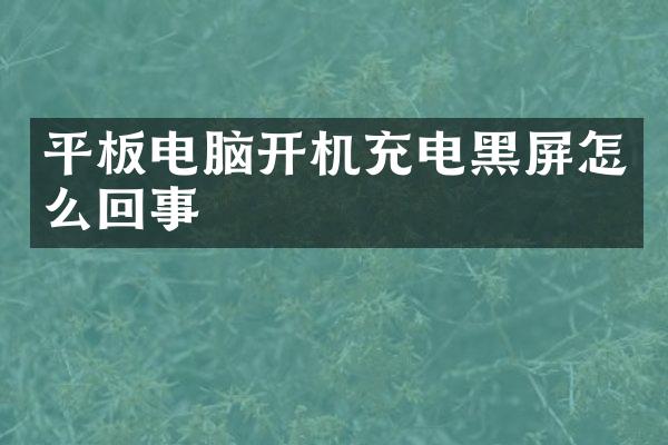 平板电脑开机充电黑屏怎么回事