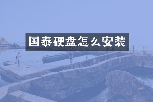 国泰硬盘怎么安装