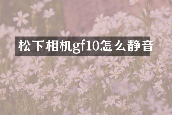 相机gf10怎么静音
