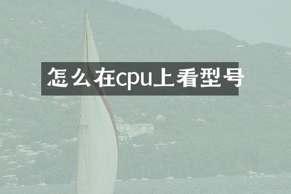 怎么在cpu上看型号