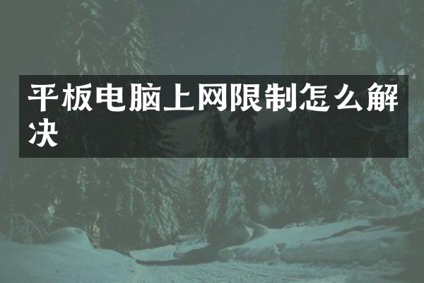 平板电脑上网限制怎么解决