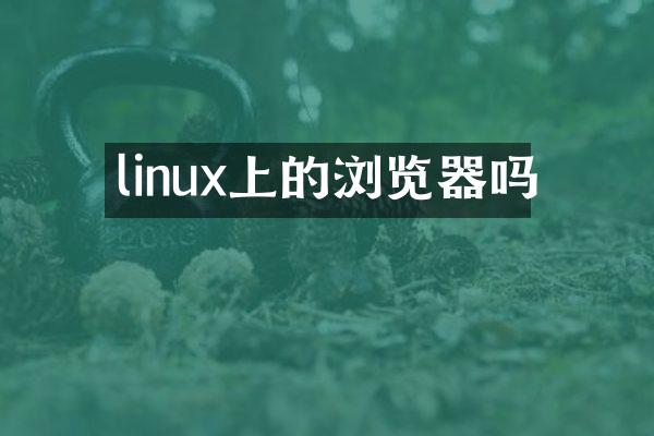 linux上的浏览器吗