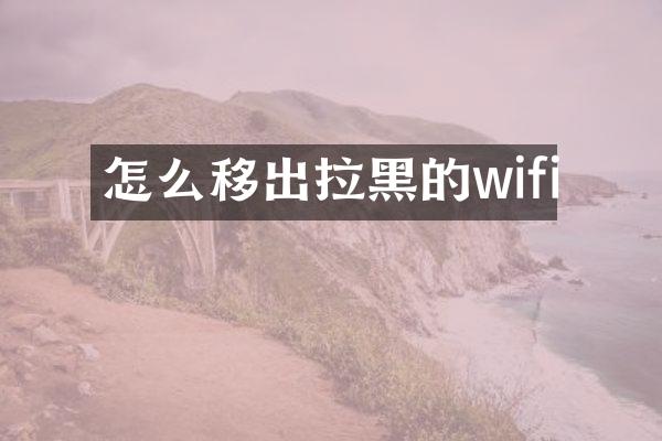 怎么移出拉黑的wifi