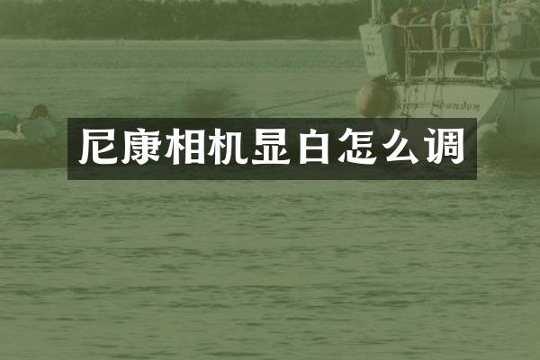 尼康相机显白怎么调
