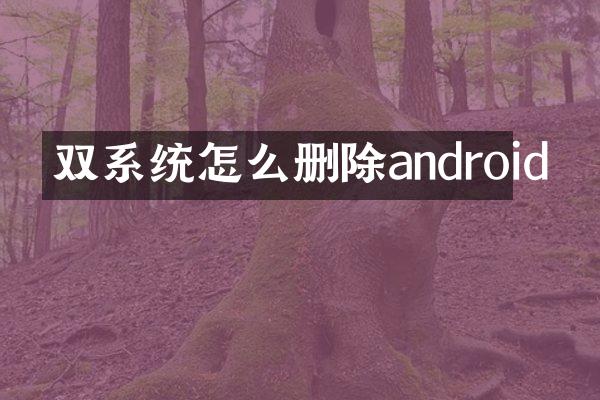 双系统怎么删除android