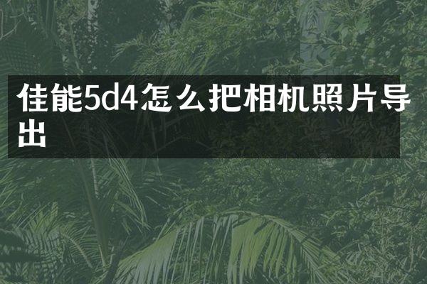 佳能5d4怎么把相机照片导出