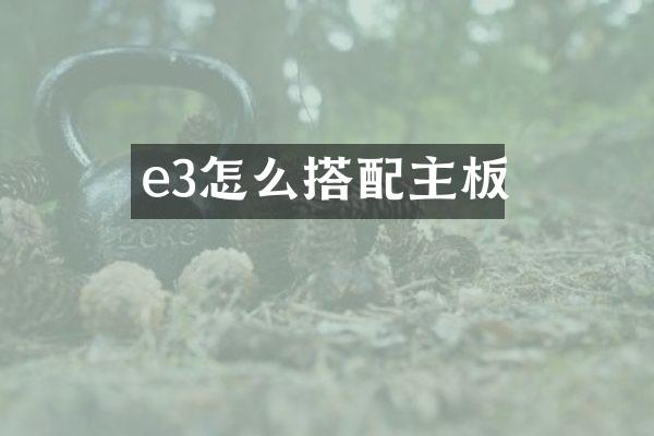e3怎么搭配主板