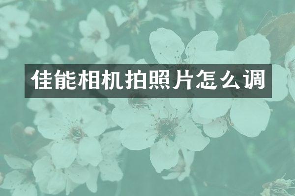 佳能相机拍照片怎么调