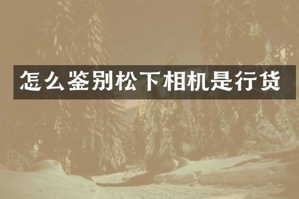 怎么鉴别相机是行货