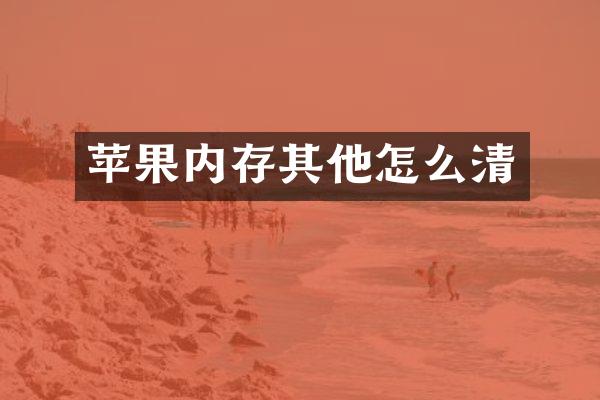 苹果内存其他怎么清