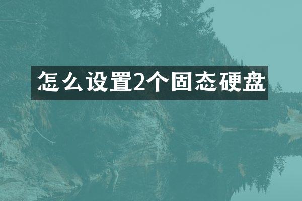 怎么设置2个固态硬盘